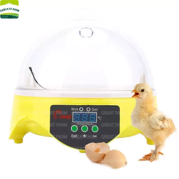 mini eggs incubator